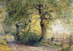 Apaçi şefi Geronimo, 1885